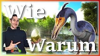 ARK Taming Guide  Hesperornis zähmen amp seine Fähigkeiten mit Humor [upl. by Notelrahc899]