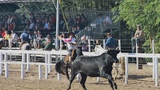 Força Alta Rodeio de Osório 2015 [upl. by Anchie]