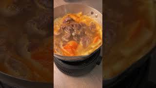 Making Beef Stew in the AIR FRYER OVEN HYSapientia Air Fryer Oven Recipes [upl. by Annelak]