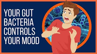 How Your Gut Bacteria Controls Your Mood [upl. by Eednarb]