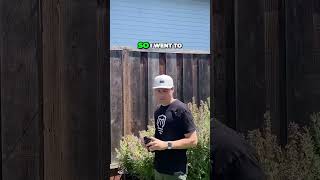 Backyard Squirrel Maze 2 part 8 squirrel maze markrober youtube fyp fypシ [upl. by Aniretac]