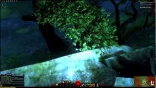 GW2  Sylvari Engineer Main Story Part 25 [upl. by Mandel]