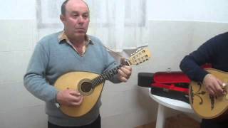 Tirana Music from the Azores São Jorge [upl. by Hgieleak236]