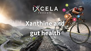 Xanthine [upl. by Infield]