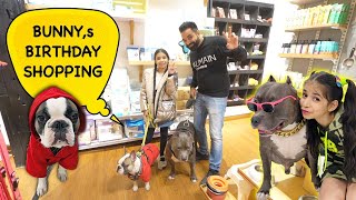 🐰 BunnyS Birthday 🎂 Shopping  Dog Birthday  Harpreet SDC [upl. by Llertniuq]