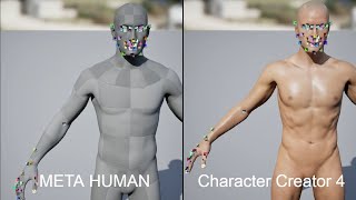 Mesh Morpher Wrapper with Meta Humans and CC4 DAZ etc [upl. by Hewart]