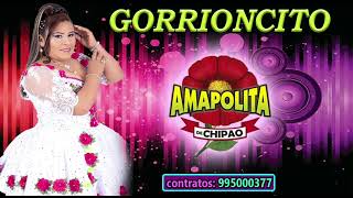 AMAPOLITA DE CHIPAO GORRIONCITO COLORADO 1ros exitos de oro [upl. by Eleumas523]