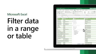 How to filter data in a range or table in Microsoft Excel [upl. by Burdelle]