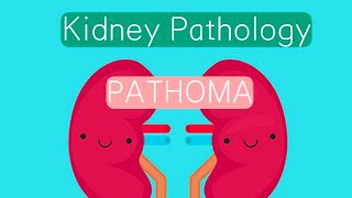 Kidney Pathology PATHOMA 2  Acute Renal Failure [upl. by Selohcin810]