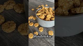 Gesunde Hundekekse  Hunde Leckerli mit Möhren und Banane [upl. by Llorrac283]