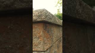 TechoBloc Suprema Retaining Wall timelapse [upl. by Schofield]