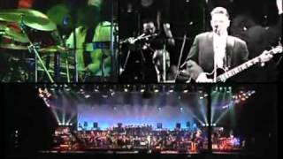 Falco  Ganz Wien Symphonic  Symphonic [upl. by Airdnat]