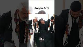 Xemgin Neco  Vere Ver  New 2024 megamusic [upl. by Tri]