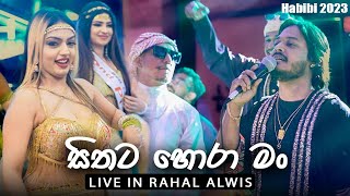 🔴 Sithata Hora Man සිතට හොරා මං Rahal Alwis Live in HABIBI 2023  VIRASH PRODUCTION  OLDS [upl. by Mala]