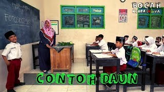 CONTOH DAUN  BOCAH NGAPAK 310319 [upl. by Oskar]