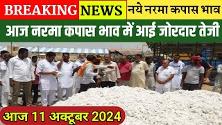 आज 11 अक्टूबर 2024 नरमा कपास के भाव नरमा कपास भाव में आई जोरदार तेजी narma kapas bhav cotton price [upl. by Redna131]