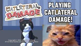 RAGING in Catlateral Damage [upl. by Ellehsad701]