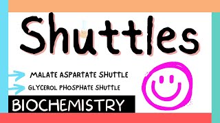 Shuttles  Malate amp Glycerol phosphate shuttles  Biochem  MBBS 1st year [upl. by Benito671]