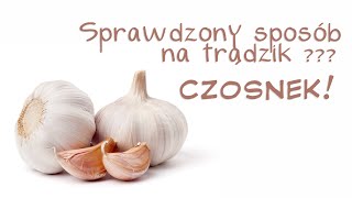 Mój sprawdzony sposób na trądzik  pryszcze  CZOSNEK [upl. by Atiran]