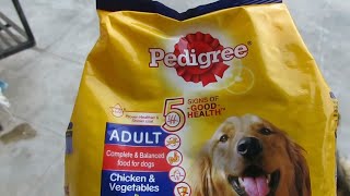 Pomeranian eating pedigree  Pedigree Dog Food review [upl. by Tiphanie64]