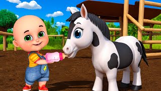 Baby Horse Song New Compilation  Animals Farm Old MacDonald  Nursery Rhymes amp Kids Songs Baby Bobo [upl. by Landry]