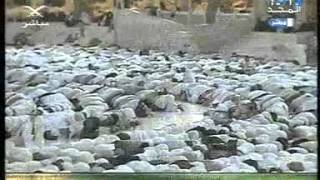 the first Salah from Shaykh maher muaqly in mecca [upl. by Warchaw]