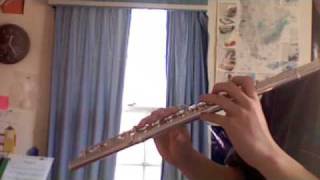 Laputa From Castle In The Sky Played on Flute NOTES IN SIDEBAR [upl. by Acemaj]