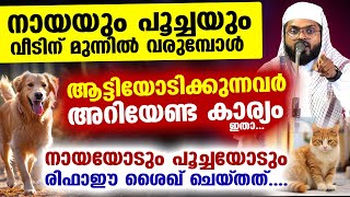 നായയും പൂച്ചയും വീടിന് മുന്നിൽ വരുമ്പോൾ ആട്ടിയോടിക്കുന്നവർ അറിയേണ്ട കാര്യം ഇതാ Kummanam usthad [upl. by Nniuqal216]