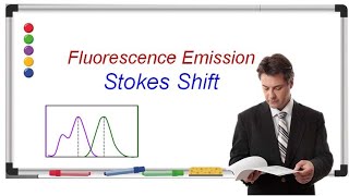 Stokes Shift  Explained  Get high grade in exam  Fluorescence Spectroscopy  Lecture Notes [upl. by Efioa]