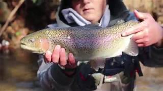 Small Stream Fly Fishing 2017 [upl. by Aicatsanna]