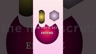 Enzyme Kinetics Biological Catalysts shortvideo shorts viralshorts enzymes [upl. by Veradi329]