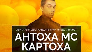 Антоха MC — Картоха  Lentaru x 16 Тонн [upl. by Balcke]