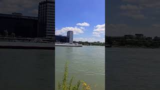 Ludwigshafen am Rhein nach Hochwasser Rhein hochwasser shorts [upl. by Nyllek946]