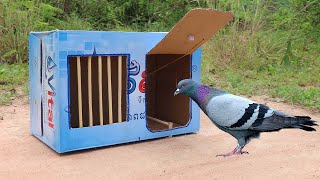 Best Quick Bird Trap Using Vital Cardboard Box And Woods  How To Make Bird Trap [upl. by Backler]