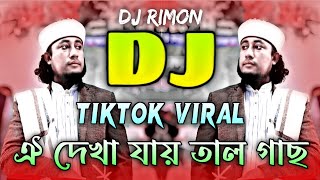 ঐ দেখা যায় তাল গাছ  ডিজে গান  Taheri Remix  Tiktok Viral Remix [upl. by Erlina]