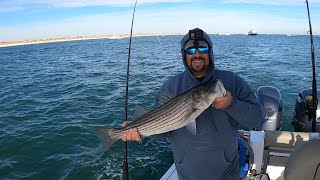 Eve of Thanksgiving  Striped Bass Fishing stripedbassfishing stripedbass rockfishing [upl. by Atiuqer]