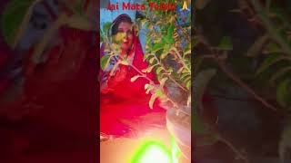 Mera tulshi ka gamle ma 🕉 likha hai short video 🙏 [upl. by Billye]