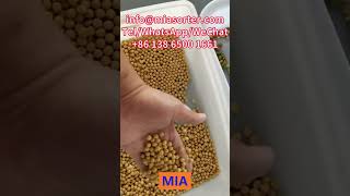 2024 Soybean Color Sorter Manufacturer Supplier Exporter Wholesale Price in Brazil Argentina India [upl. by Ethelind640]