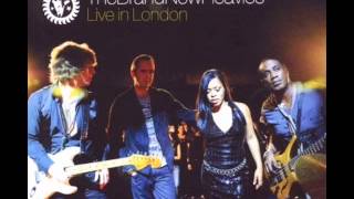 The Brand New Heavies  Brother Sister live [upl. by Lowe213]