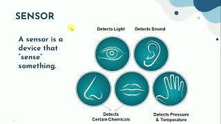 Penjelasan Singkat Mengenai Sensor Transduser dan Aktuator [upl. by Alyakcm]