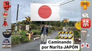 Caminata por las calles de Narita JAPÓN 🇯🇵 el frío se está poniendo Perrisimo vale  🥶 [upl. by Yddeg]