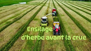 JE VOUS EMMÈNE AVEC MOI À LENSILAGE DHERBE 2024 🌿 [upl. by Voletta211]