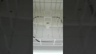 Removing Suds From Dishwasher Quick And Easy [upl. by Melburn648]