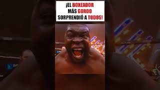 ¡El boxeador más gordo sorprendió a todos [upl. by Modnarb]