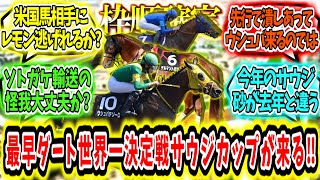 『【枠順確定】もはやダート世界一決定戦‼サウジカップが来る‼』に対するみんなの反応【競馬の反応集】 [upl. by Ifen]