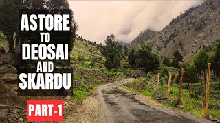 Astore to Skardu via Deosai PART1  Sheosar Lake  Travel Guide  Road Condition  Gilgit Baltistan [upl. by Alderson]