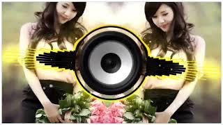 LO PODA MUHI HUMMING DJ ALOK PIPILI x DJ SANTANU BOY  🎧 [upl. by Leira]