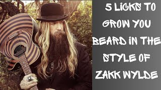 5 Licks to Grow your Beard in the Style of Zakk Wylde [upl. by Notsej]