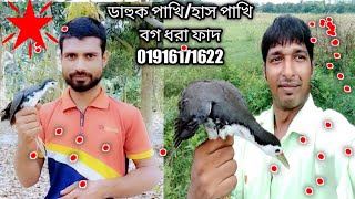 ডাহুক পাখি ।বগ পাখি। কোড়া পাখি।অতিথি পাখি শিকার করা সহজ চায়না জাংগী ফাদ। [upl. by Sherwynd597]