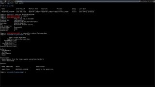 Crack NTLM Hashes using Empires PowerUP Module and OPHCRACK [upl. by Rennug]